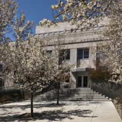 Nevada Insurance Scam