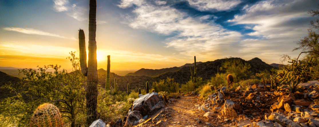 Instructions on how to get your Arizona insurance license