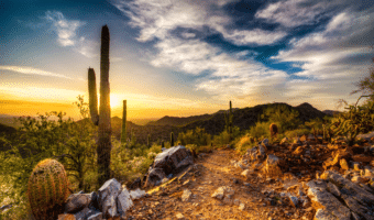 Instructions on how to get your Arizona insurance license