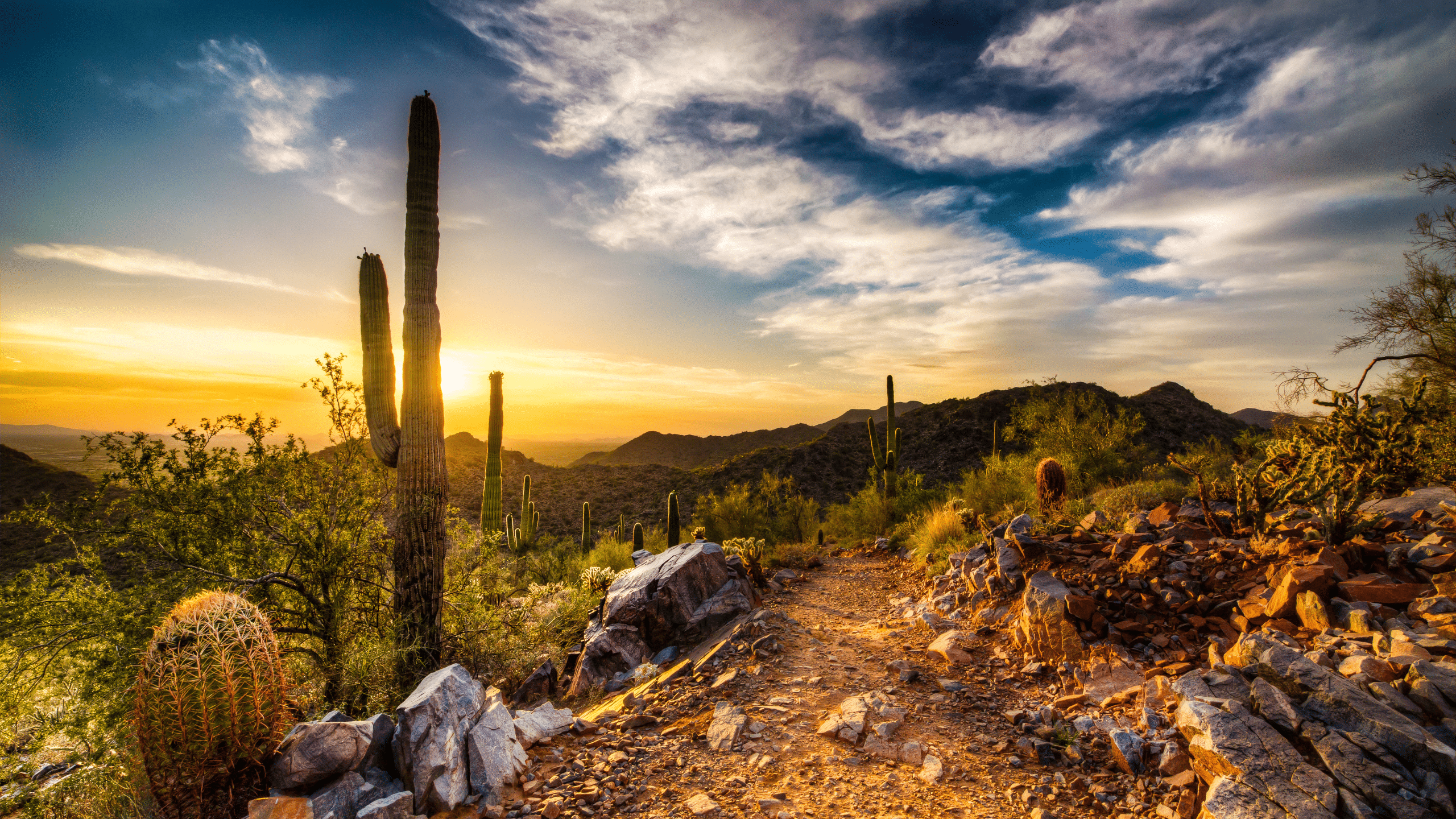 Instructions on how to get your Arizona insurance license