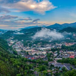 Tennessee insurance license