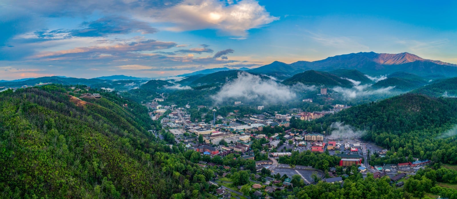 Tennessee insurance license