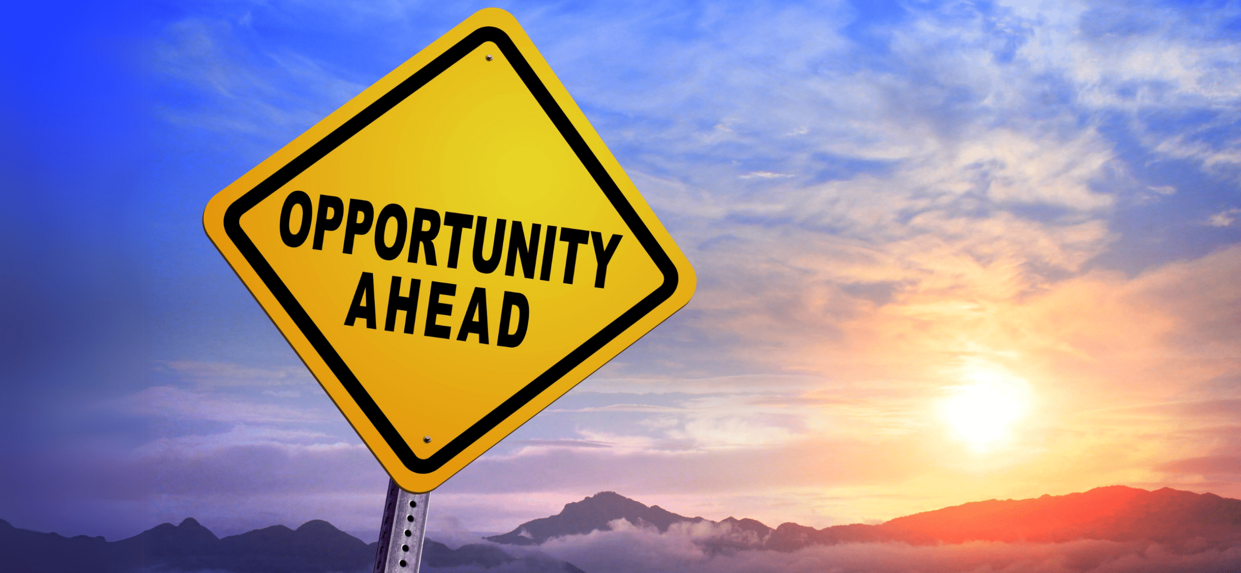 Insurance Industry Opportunities