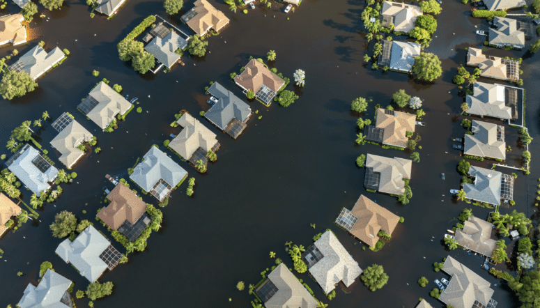 Upgrade Florida 440 license to 220