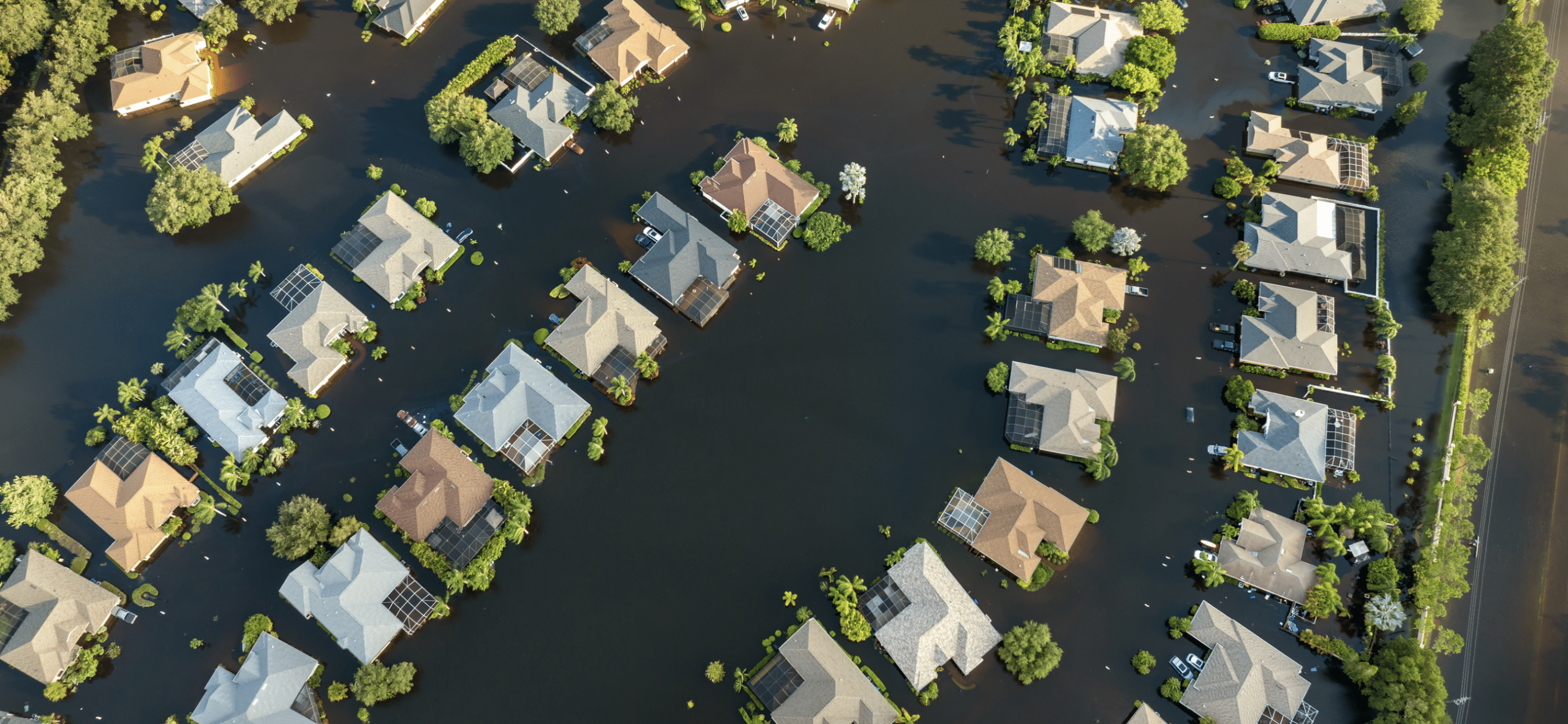 Upgrade Florida 440 license to 220