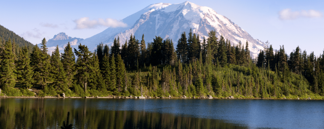 Step by step instructions on how to become an insurance agent in Washington