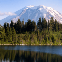 Step by step instructions on how to become an insurance agent in Washington