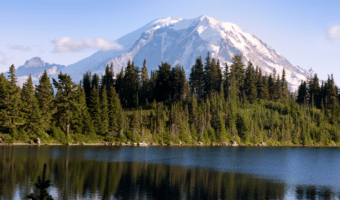 Step by step instructions on how to become an insurance agent in Washington