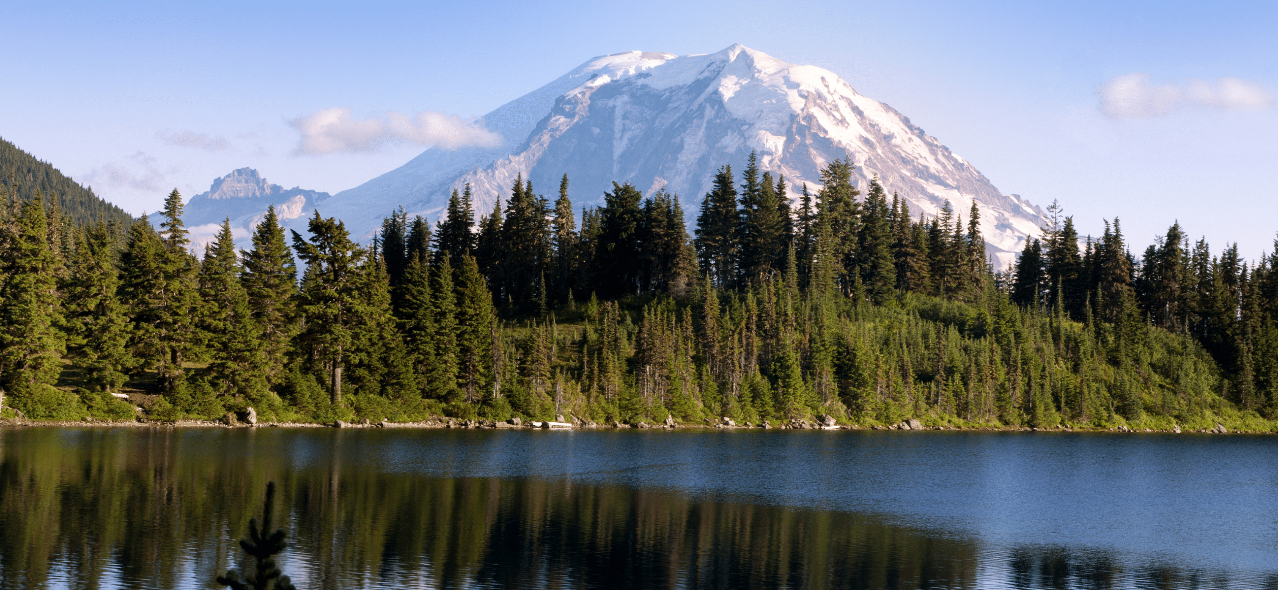 Step by step instructions on how to become an insurance agent in Washington