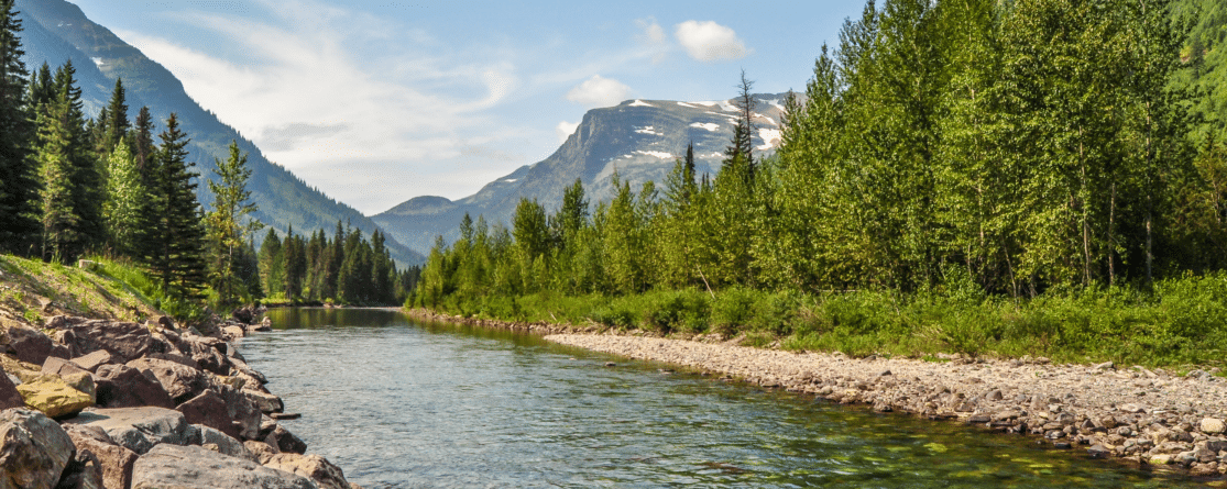 Instructions on how to become an insurance agent in Montana