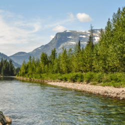 Instructions on how to become an insurance agent in Montana