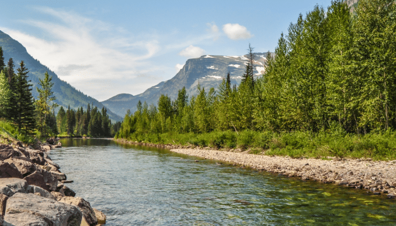 Instructions on how to become an insurance agent in Montana