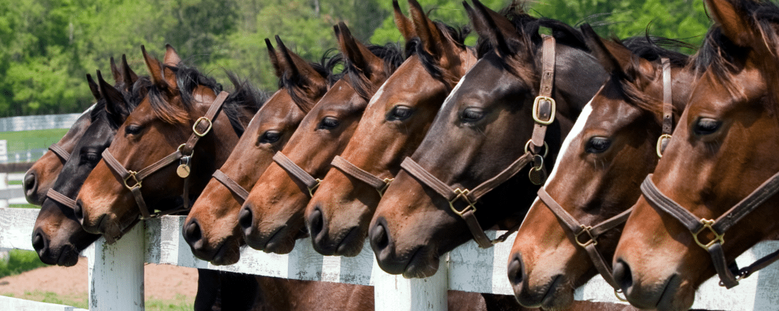Your guide to becoming a licensed insurance agent in Kentucky