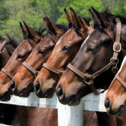 Your guide to becoming a licensed insurance agent in Kentucky