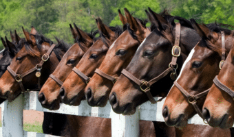 Your guide to becoming a licensed insurance agent in Kentucky