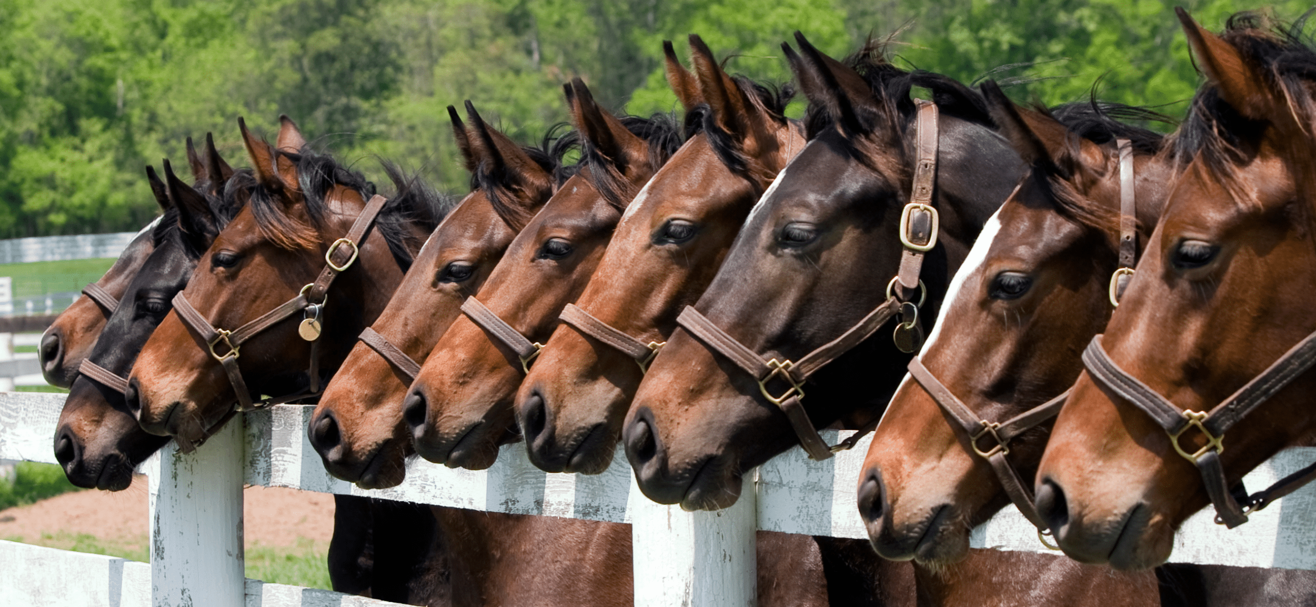 Your guide to becoming a licensed insurance agent in Kentucky